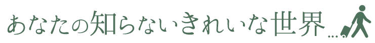 あなたの知らないきれいな世界